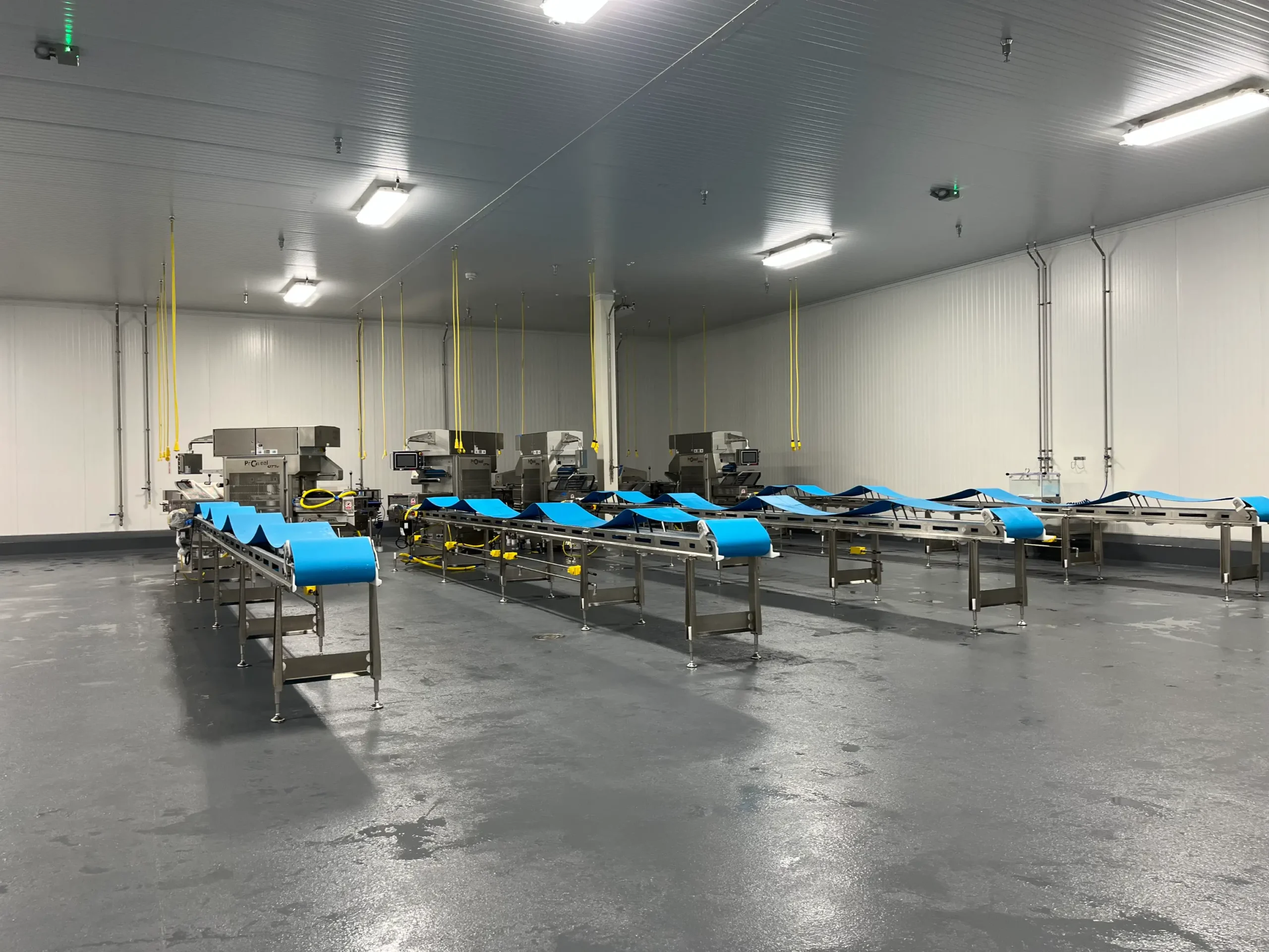 Food Sanitation Services Plant Sanitation