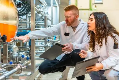 Industrial food inspection